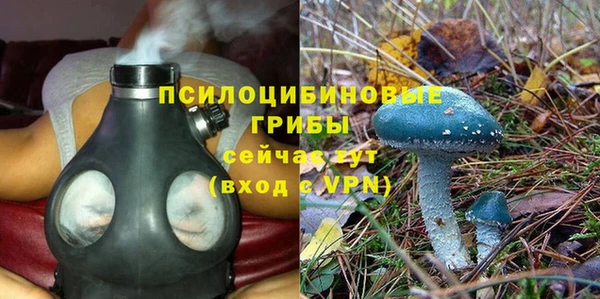 spice Нягань