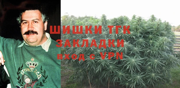 спиды Няндома