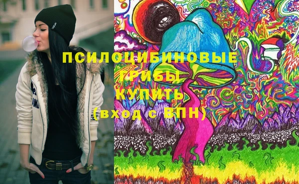спиды Няндома