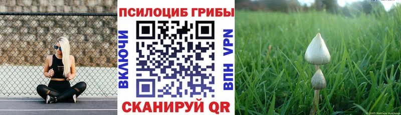 Псилоцибиновые грибы Psilocybe  Лукоянов 